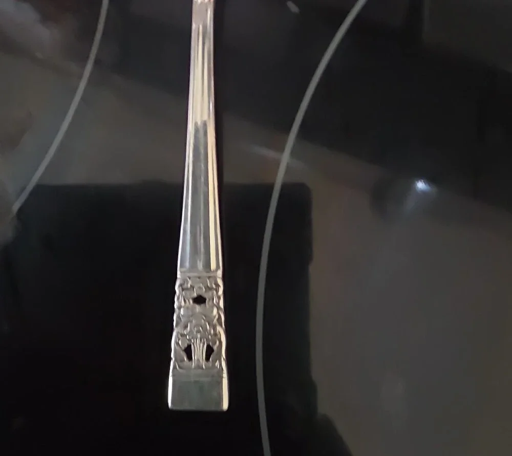 Silver plated Serving Spoon - Silver